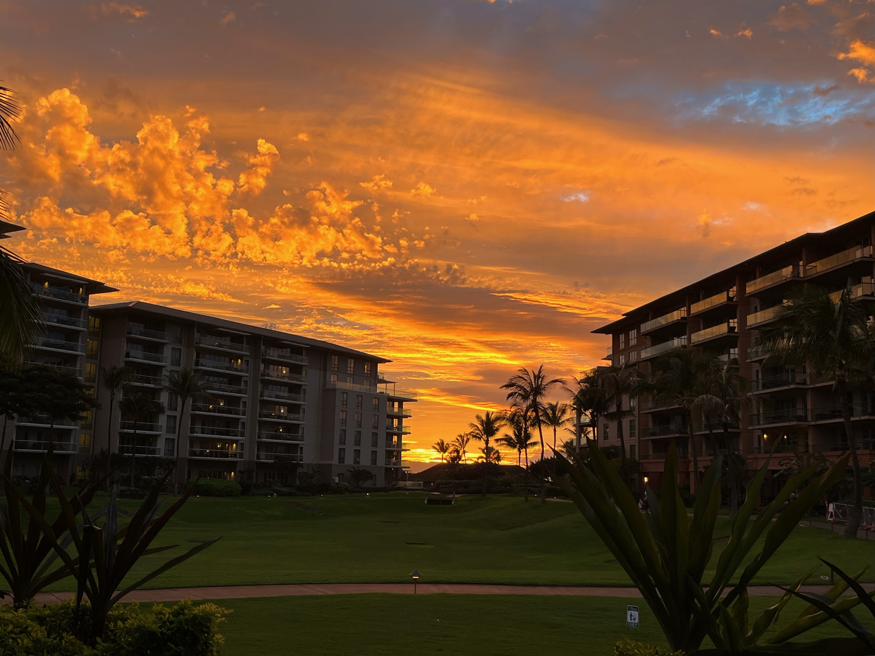 Gorgeous Sunset view from the villa