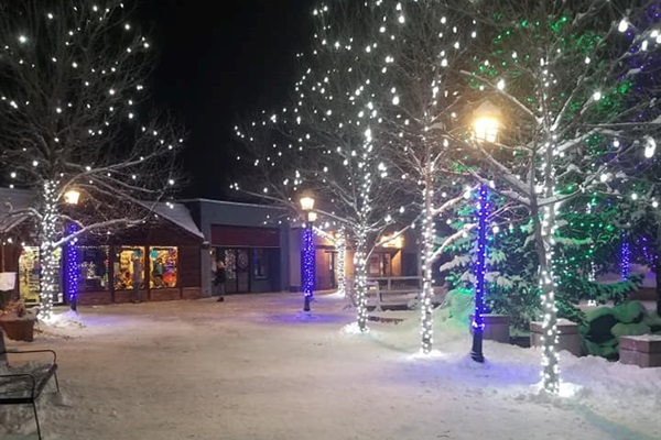 Downtown Estes Lights