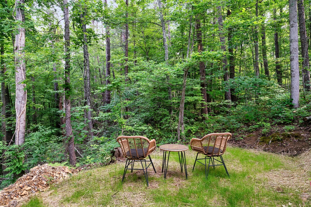 Escape to nature! Enjoy a peaceful moment surrounded by lush greenery at your mountain retreat. Listen to the sounds of the Smokies!