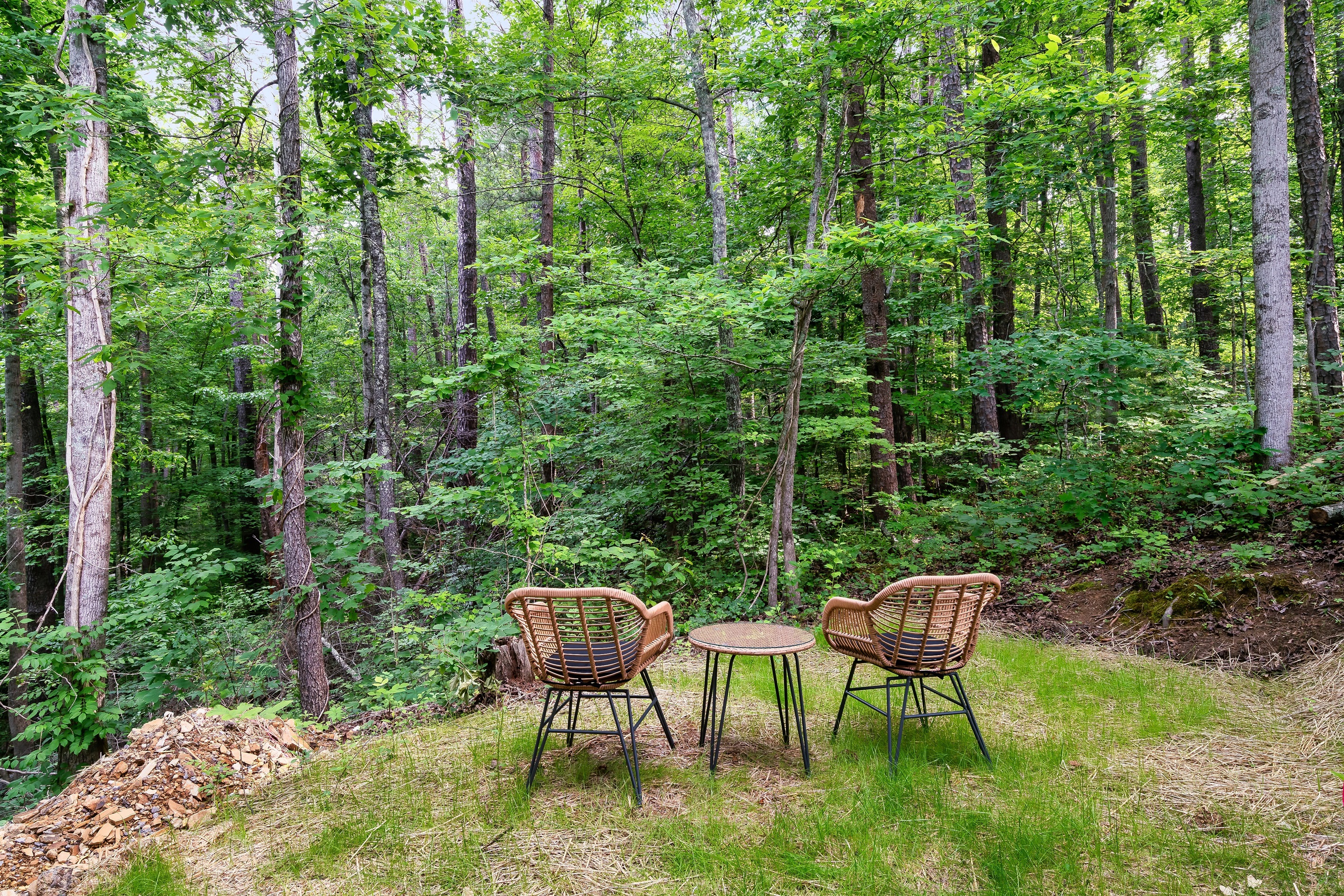 Escape to nature! Enjoy a peaceful moment surrounded by lush greenery at your mountain retreat. Listen to the sounds of the Smokies!