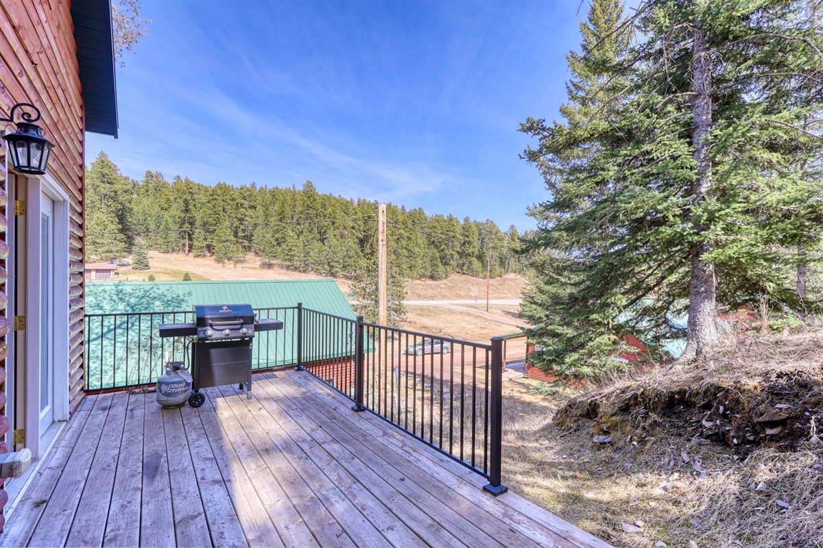 Cabin 6, Cole Cabins, Deadwood Terrace