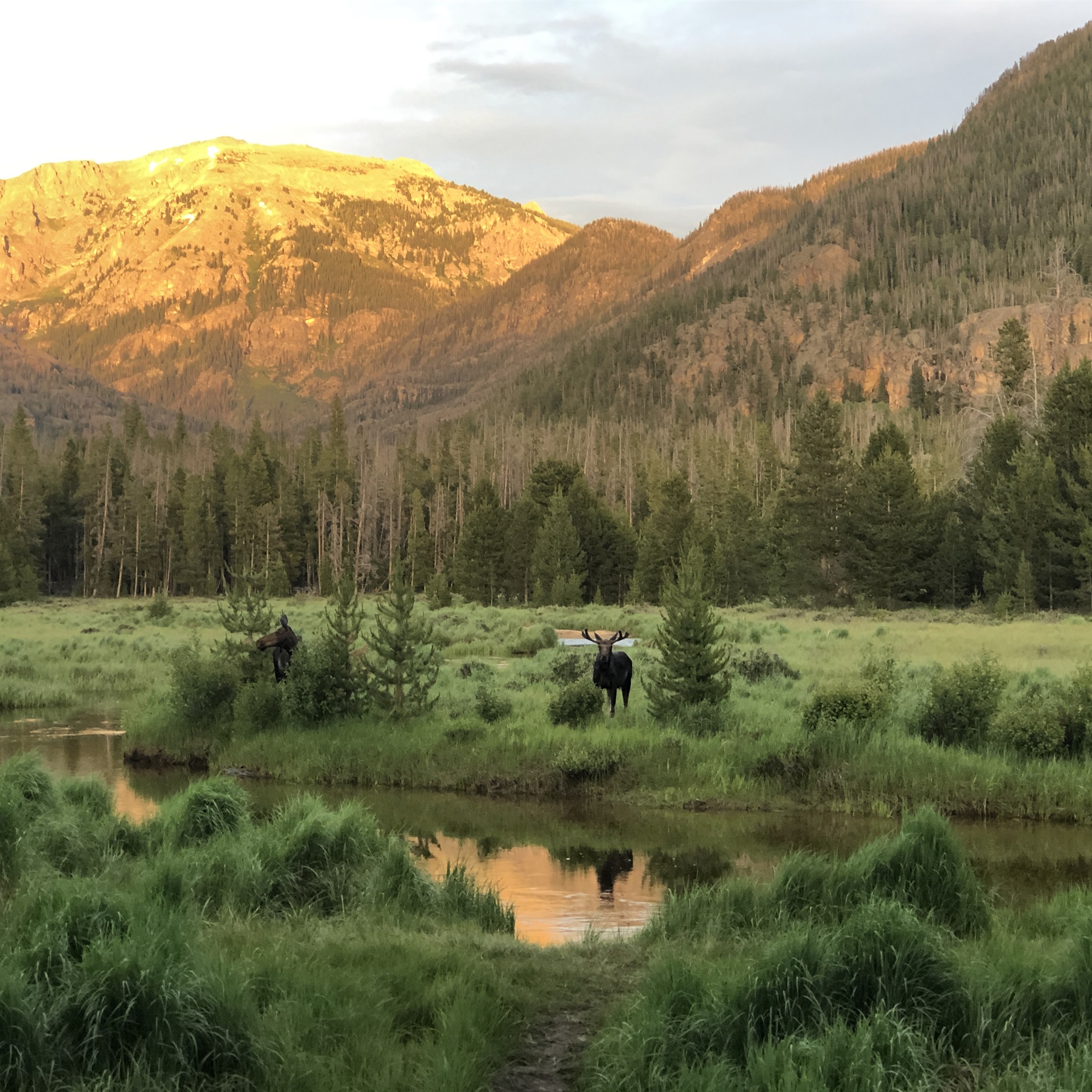East Inlet Trail Past Adams Falls