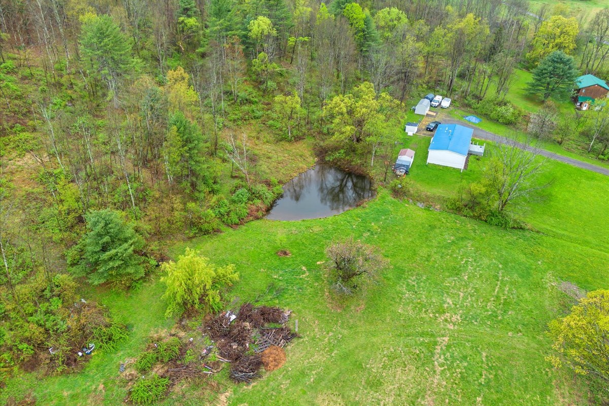 Pond up on hill on property, No fish.