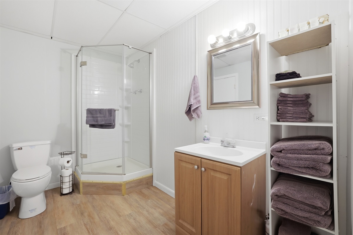 Lower Level Bathroom
