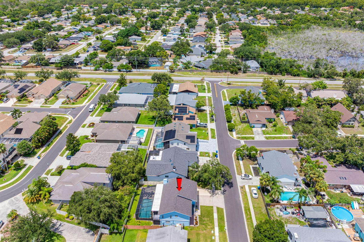 Aerial View of the Neighborhood