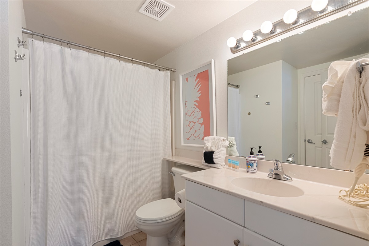 Guest Bath
