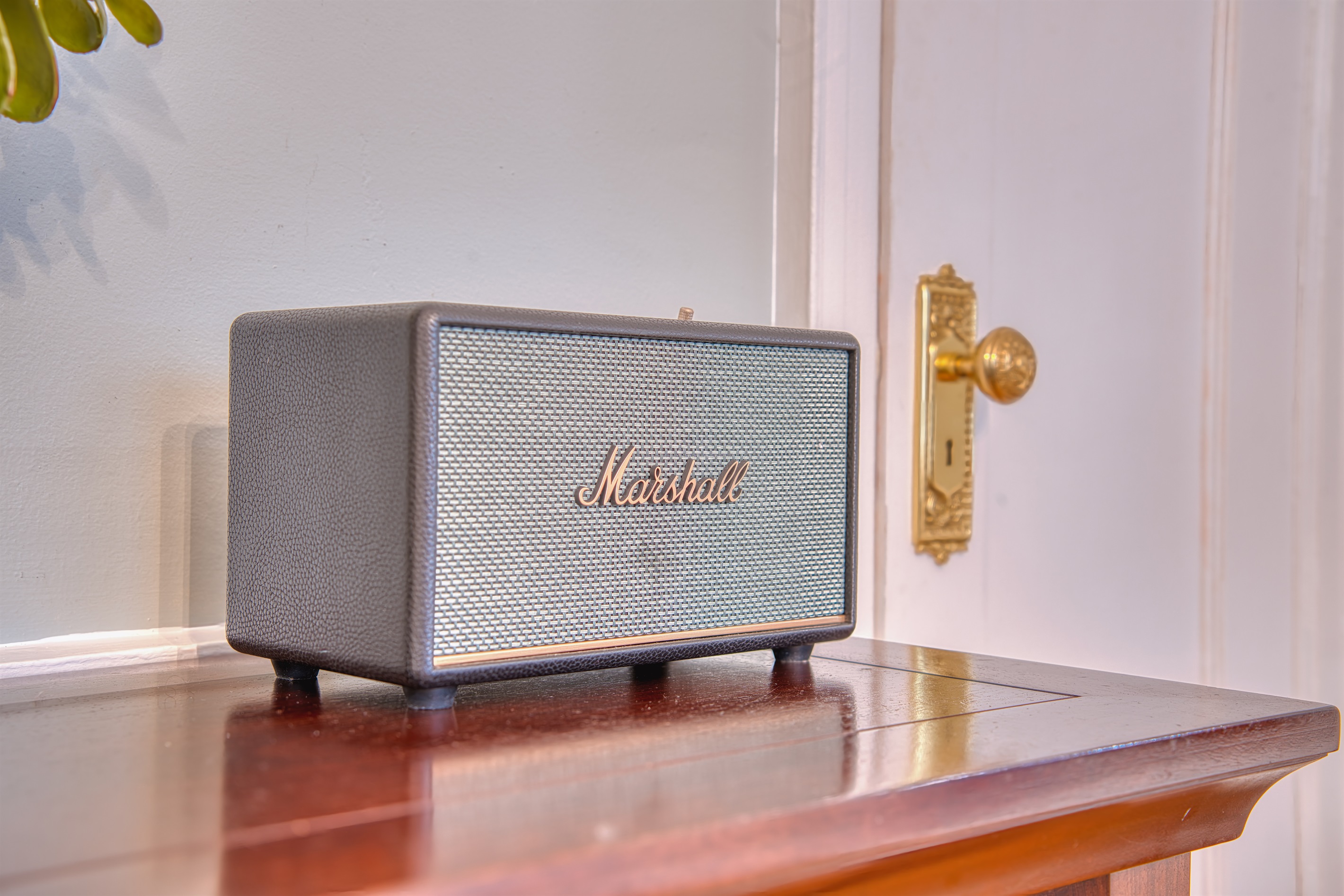 Bluetooth speaker to listen to your favorite music.