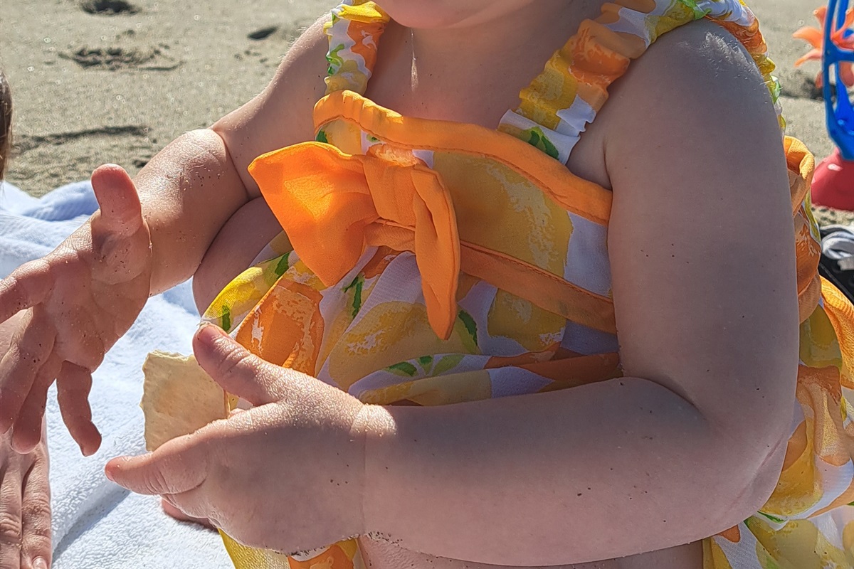 From shells to starfish, kids love uncovering ocean treasures.