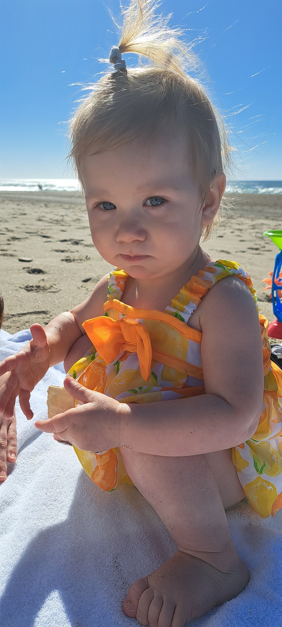 From shells to starfish, kids love uncovering ocean treasures.