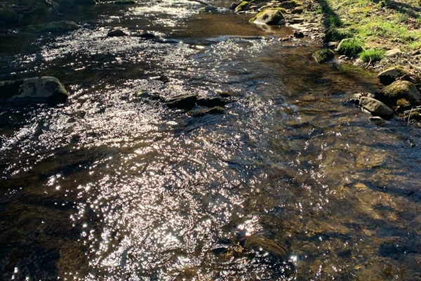 Beautiful year round creek directly in front of the cabin ☀️