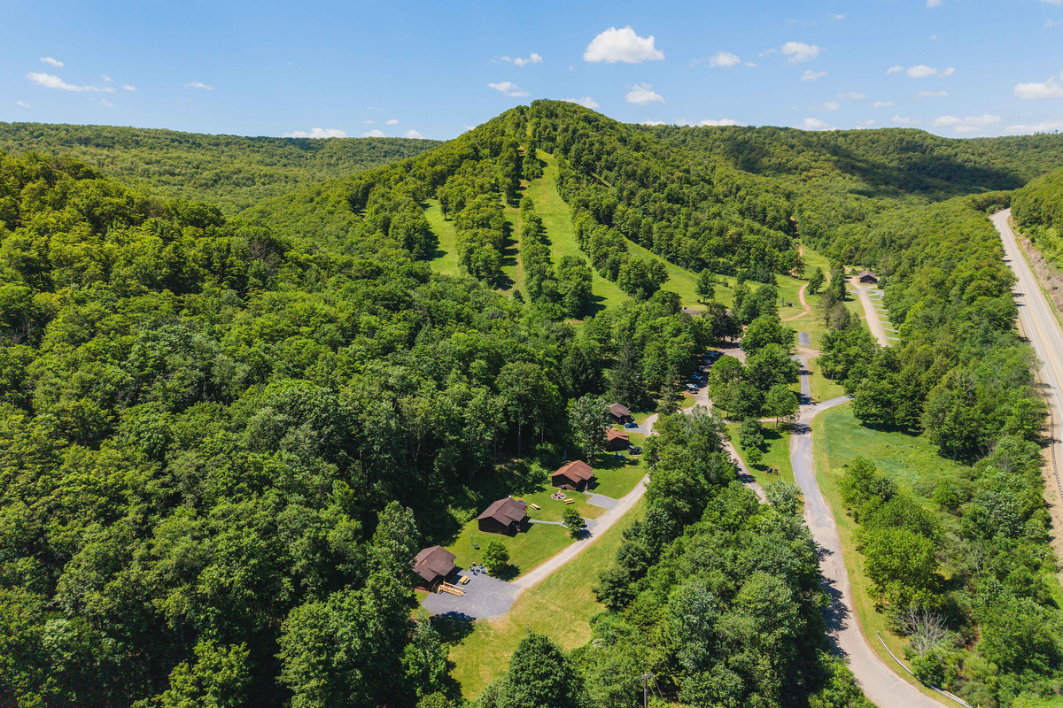 🌲 Endless trails and forest — the Susquehannock State Forest stretches in every direction.