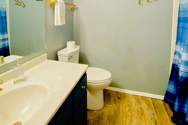 Main Level Shared Bathroom