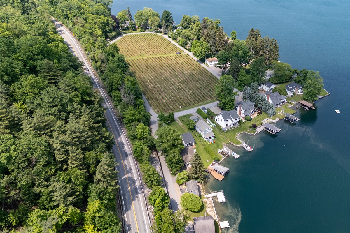 A stunning aerial view of lakeside living meets vineyard charm—private docks, waterfront homes, and lush grape rows create the perfect Finger Lakes retreat.