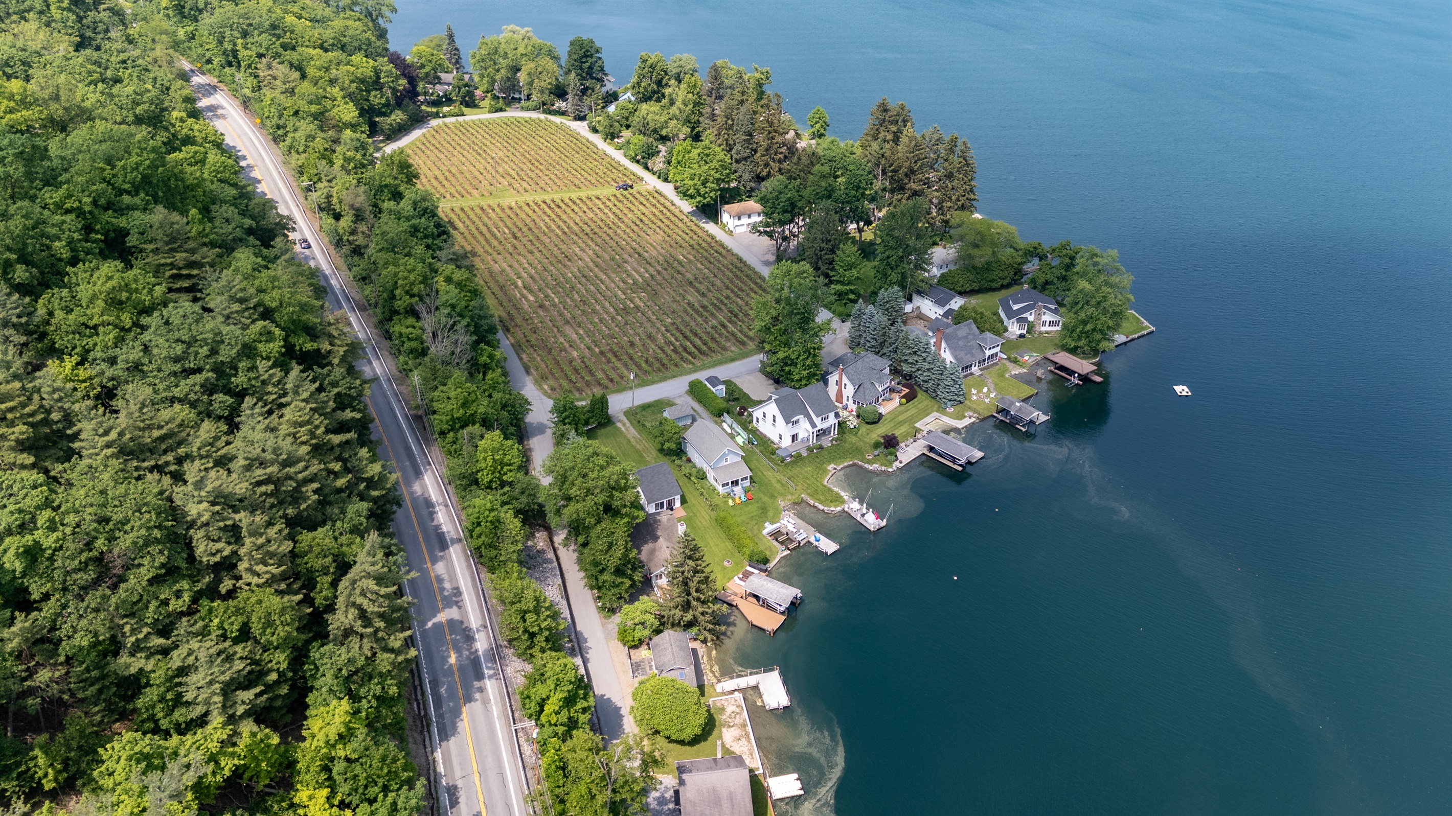 A stunning aerial view of lakeside living meets vineyard charm—private docks, waterfront homes, and lush grape rows create the perfect Finger Lakes retreat.
