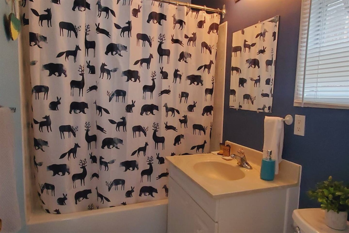 Full bathroom