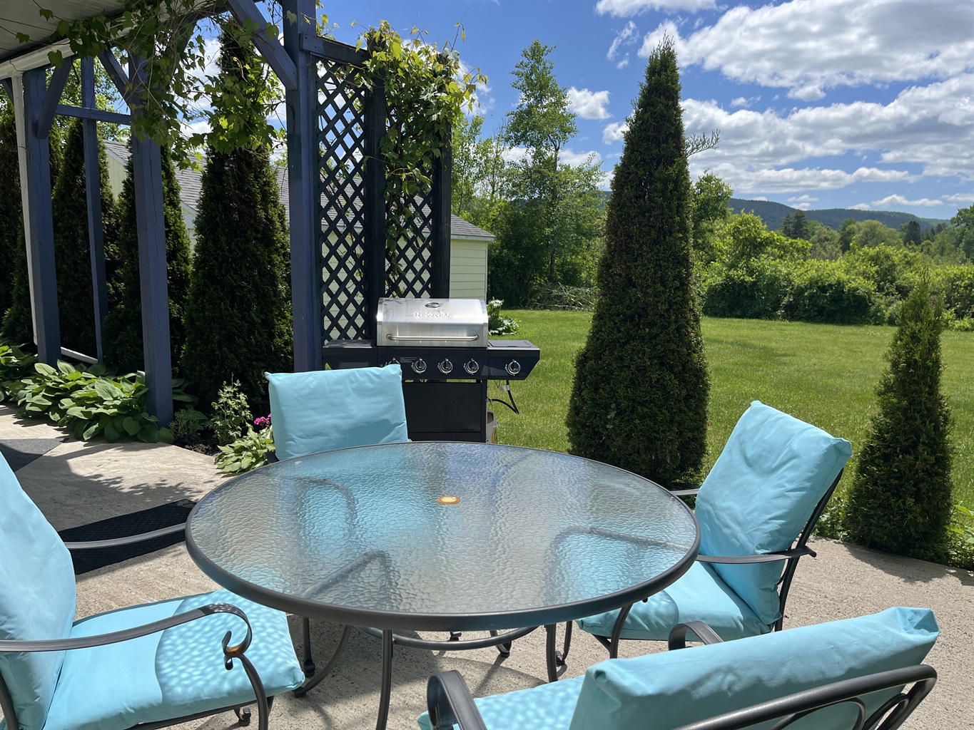 Patio and grill area at Goose Pond #1
