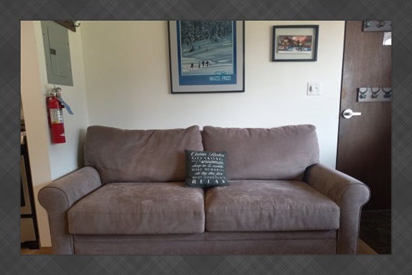 Sofa sleeper: Couch.