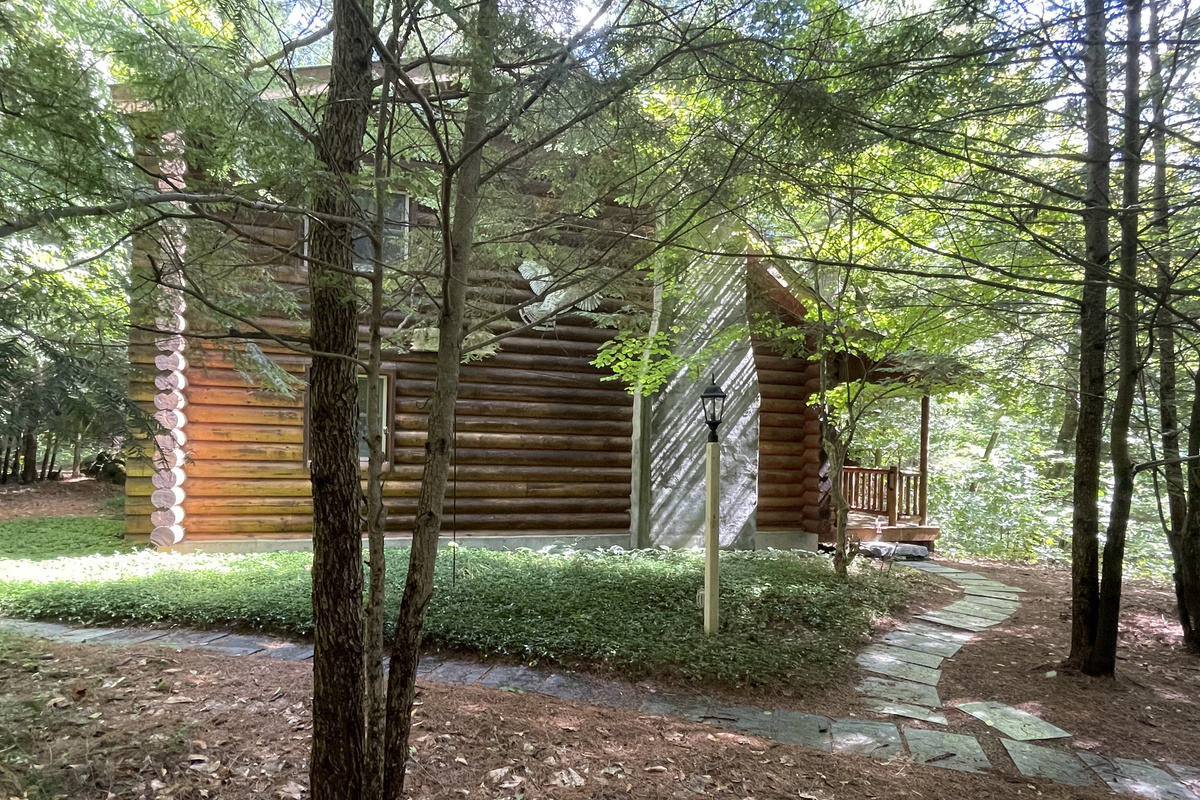 Nestled in a White Pine and Hemlock Forest