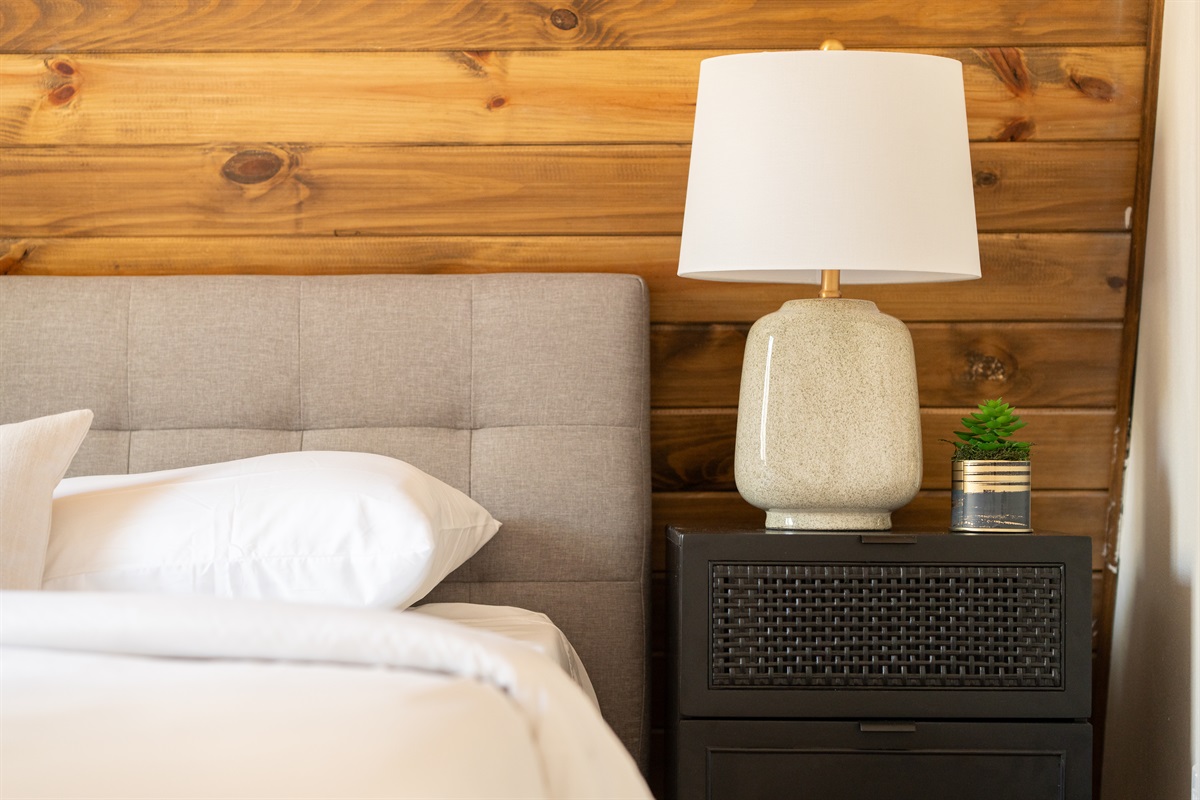 Comeback Downstairs Bedroom w/ Queen