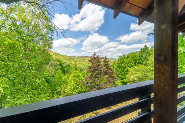 Expansive Long Range Mountain Views and Nature in Abundance! 