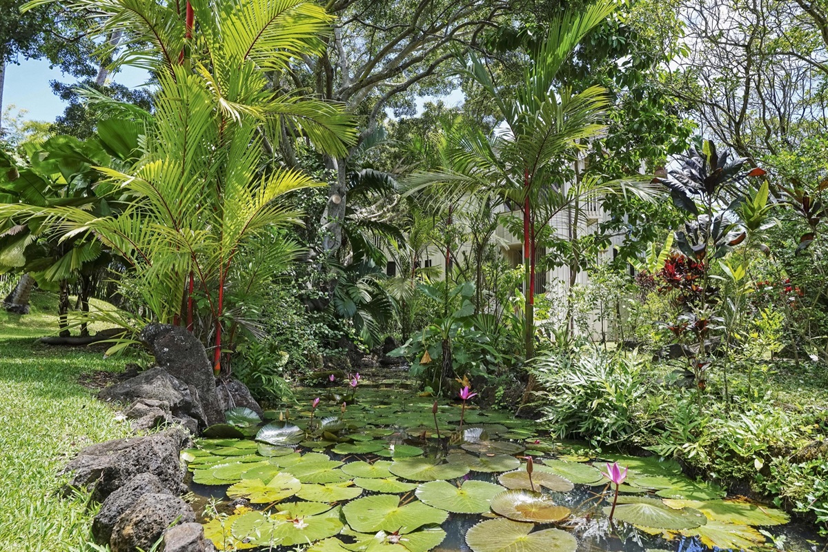 Peaceful sounds of water