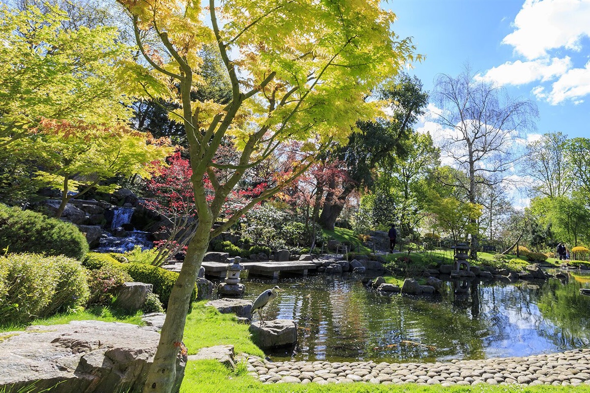 Kyoto Gardens