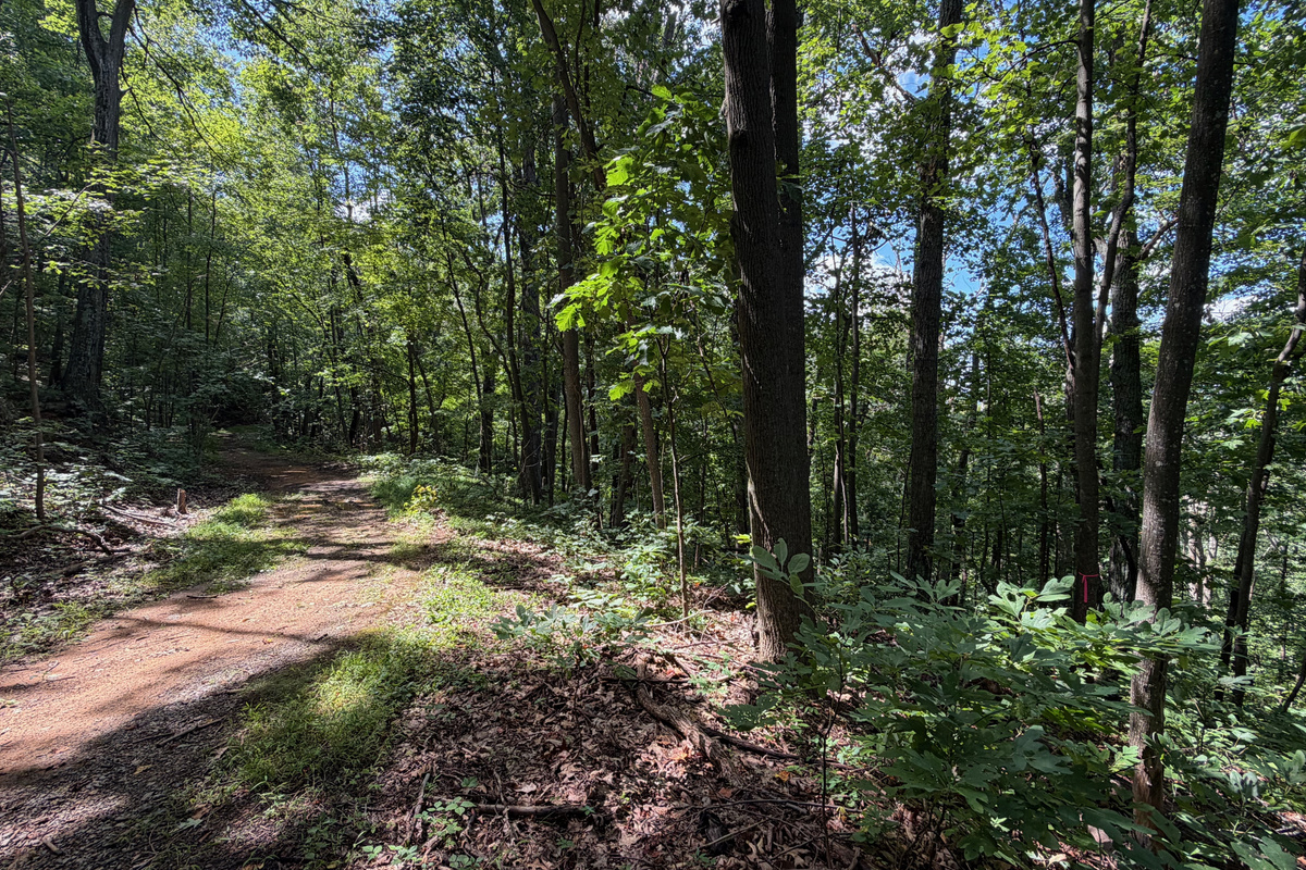Numerous trails are on the 26 acre property, which you are free to use. We do have many wild animals to enjoy watching, but do take care and be safe. Read through the Guest Welcome Book about safety before you venture off.