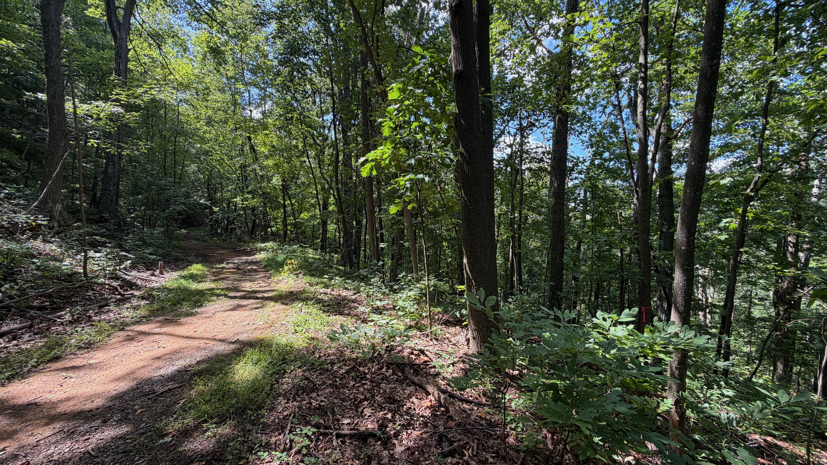 Numerous trails are on the 26 acre property, which you are free to use. We do have many wild animals to enjoy watching, but do take care and be safe. Read through the Guest Welcome Book about safety before you venture off.