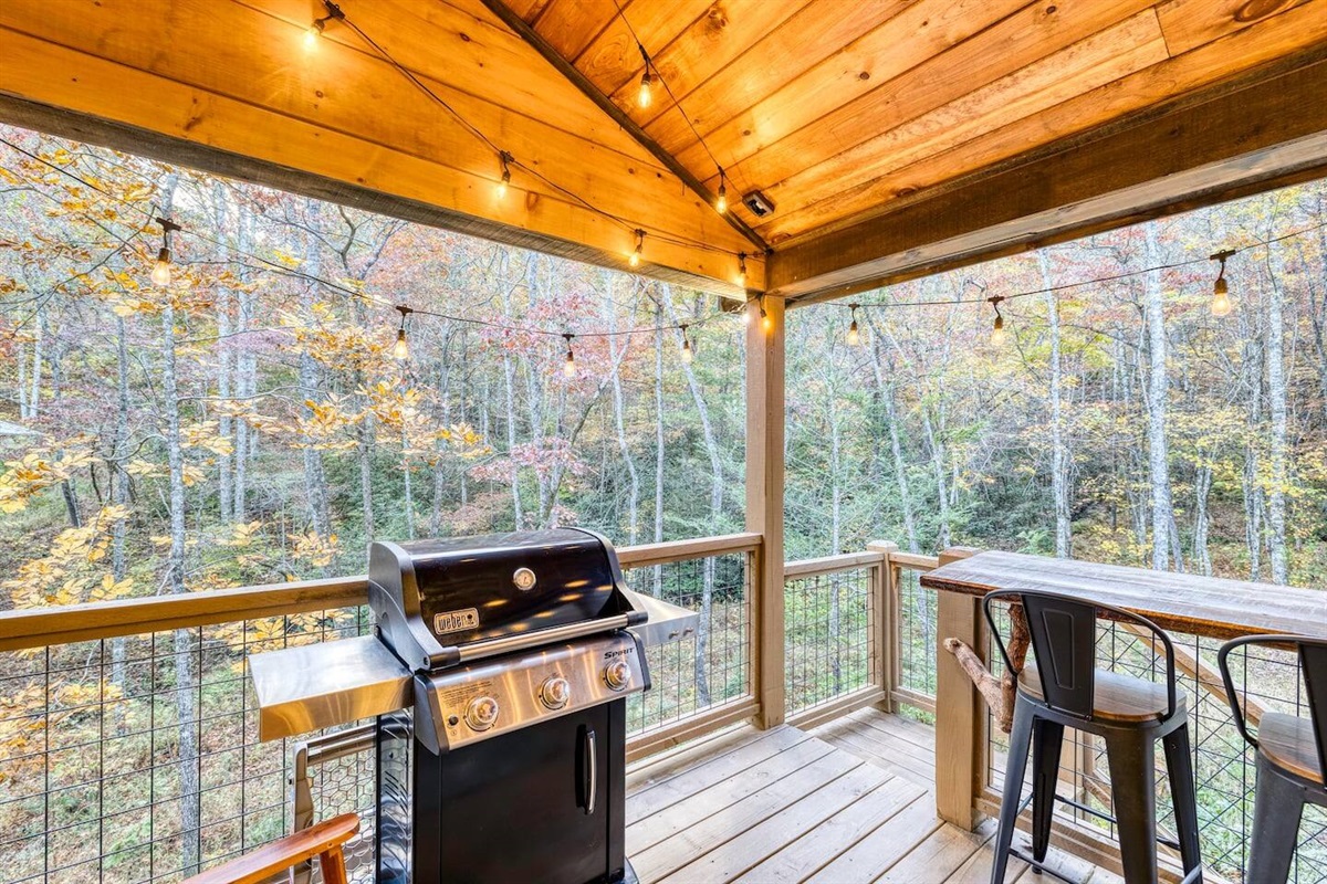 Grilling with a view: Nature's backdrop makes every meal a masterpiece.  