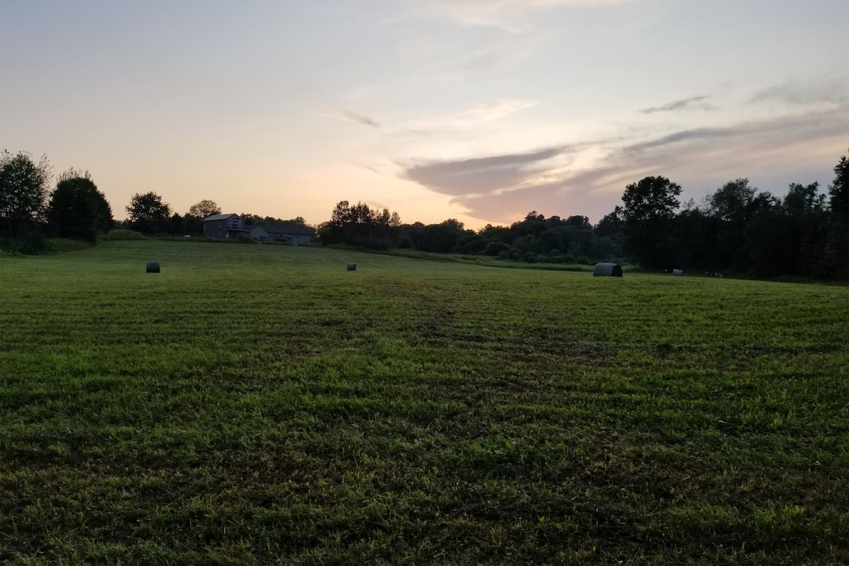 View of hay field