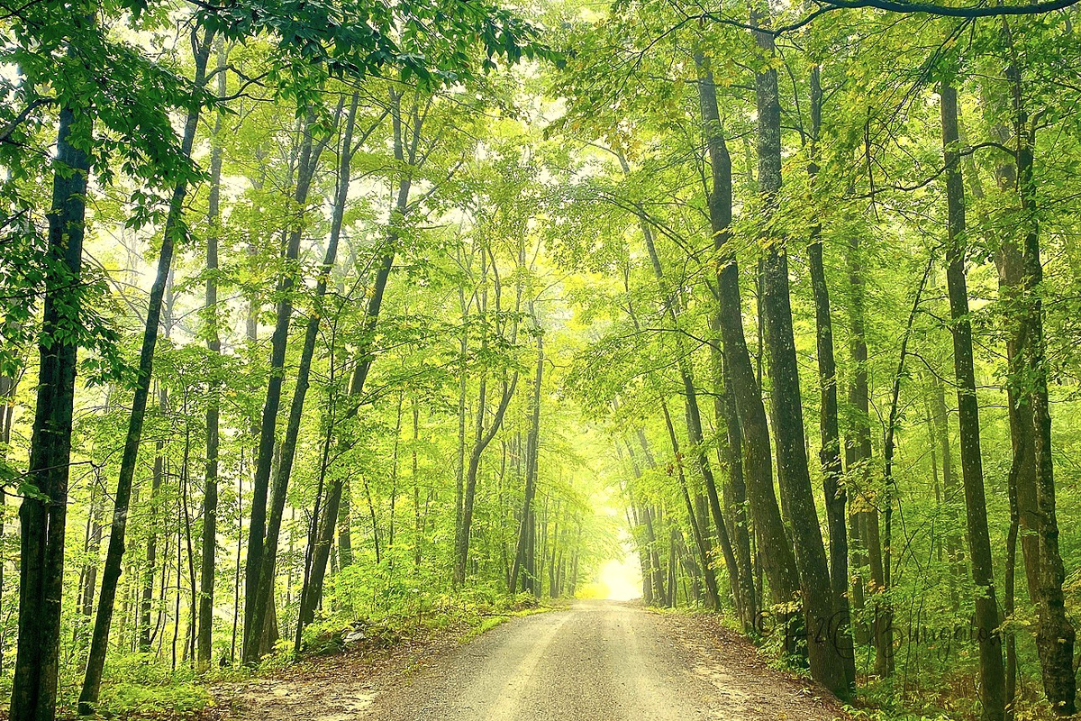 Surrounded by 1,275 acres of preserved land for hiking and biking