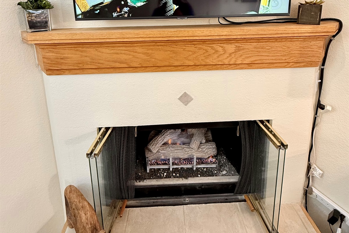 Gas fireplace