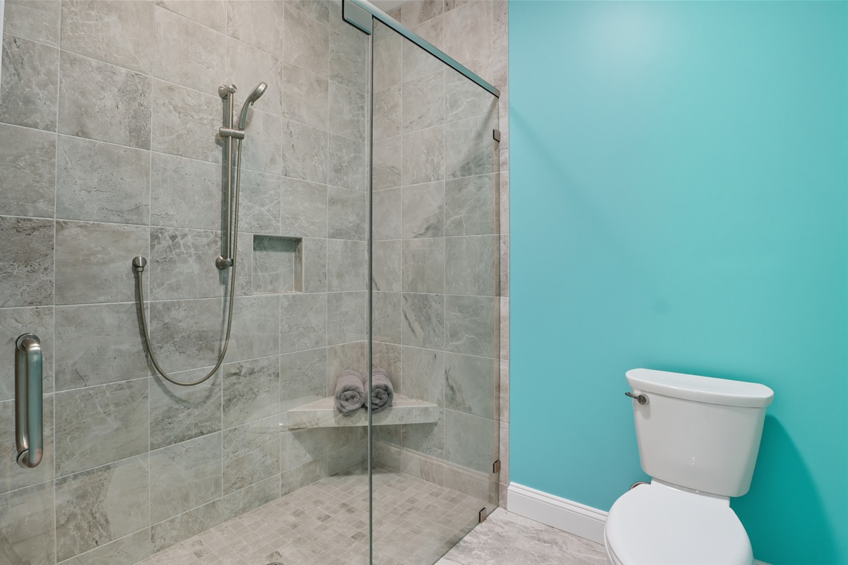 Charming lower level full bathroom with walk in shower Bathroom #5