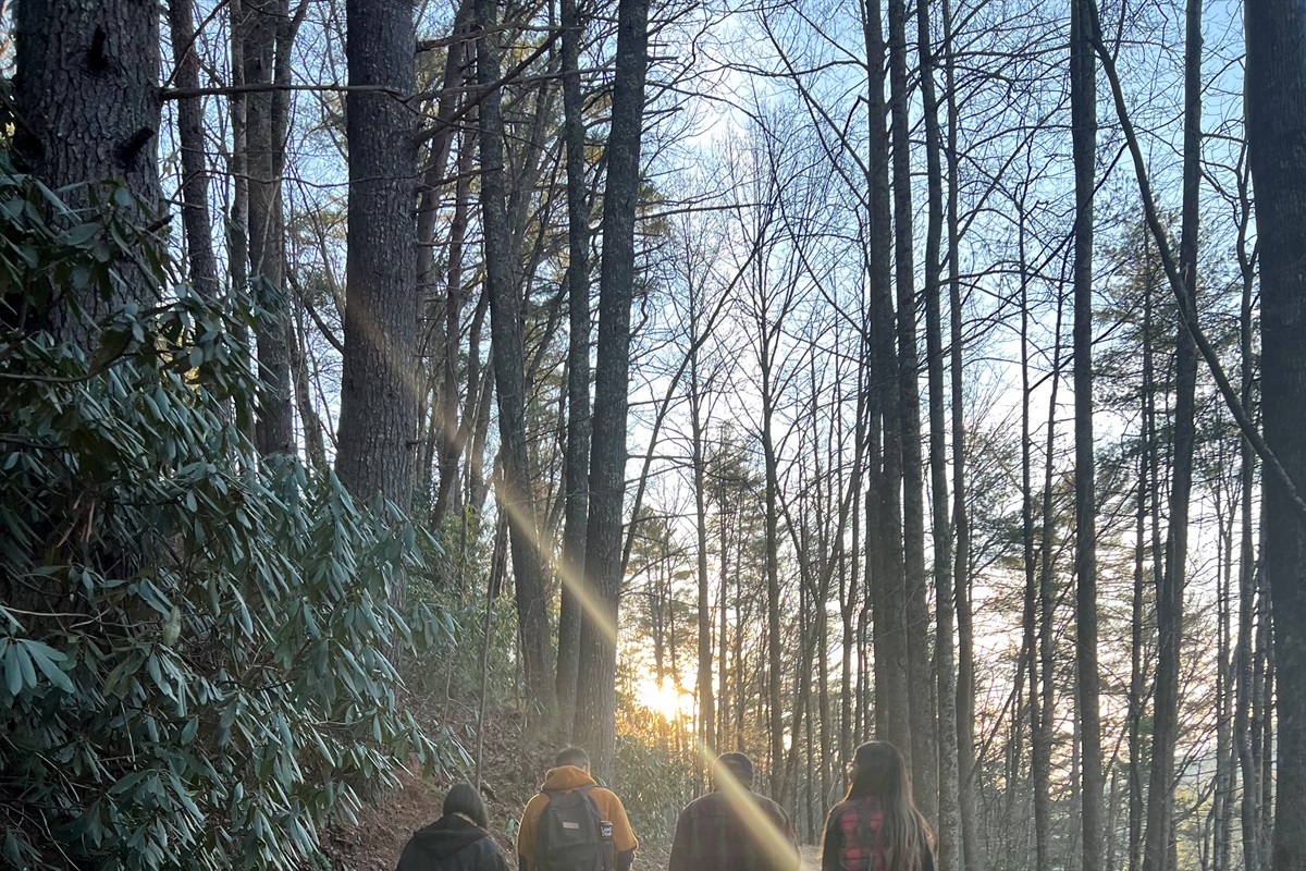 Find Your Magic On the Trails of Unicoi Park!