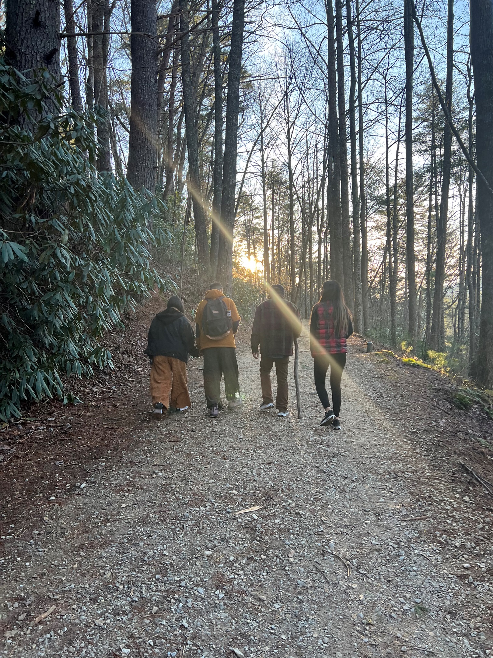Find Your Magic On the Trails of Unicoi Park!
