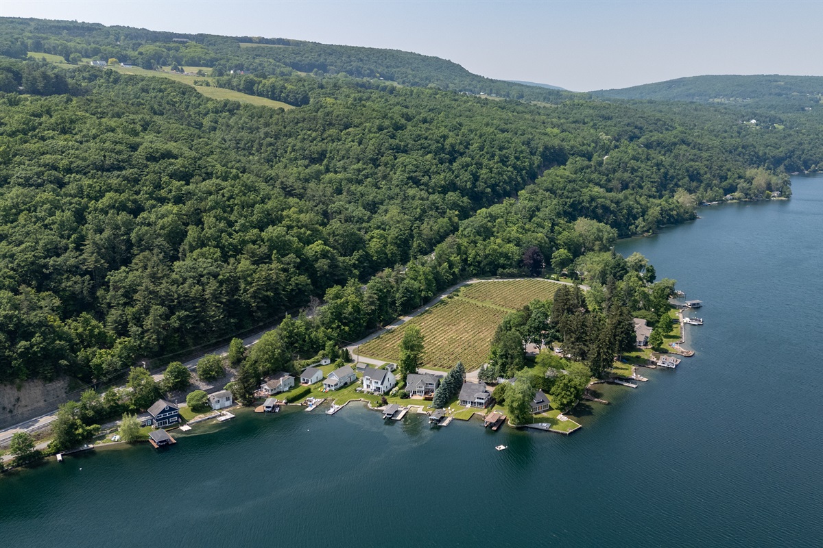 A stunning aerial view of lakeside living meets vineyard charm—private docks, waterfront homes, and lush grape rows create the perfect Finger Lakes retreat.