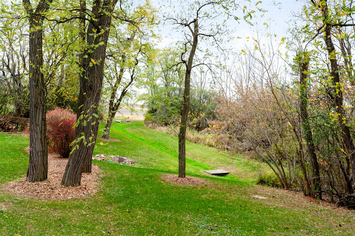 Tranquil wooded space to unwind — stroll among the trees and enjoy the serenity of nature.