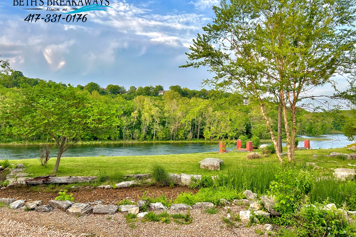 View from the back porch!