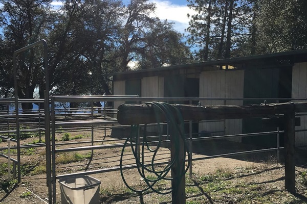 Horse Stables