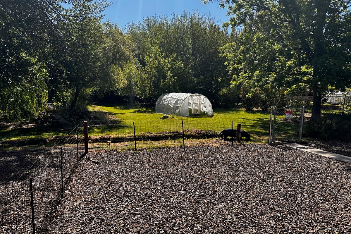 Fenced Back yard
