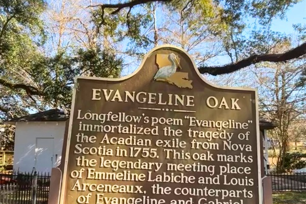 Evangeline Oak Sign