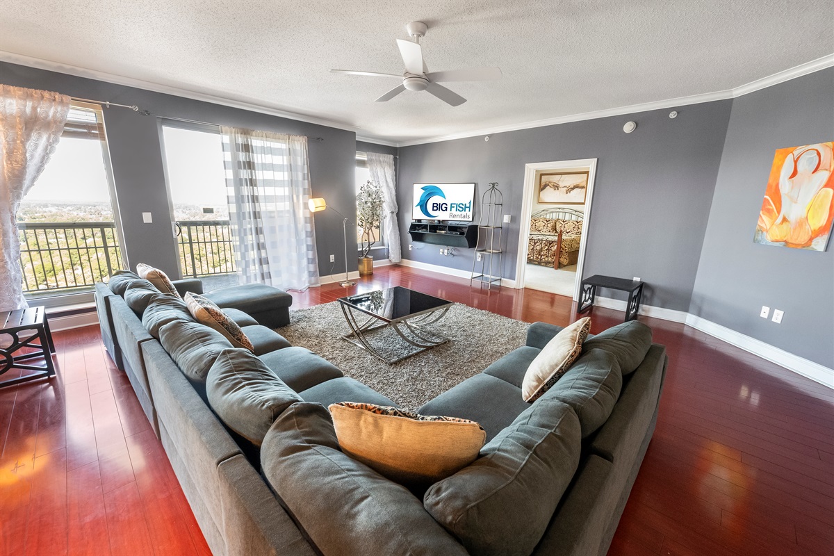 Amazing Living Room