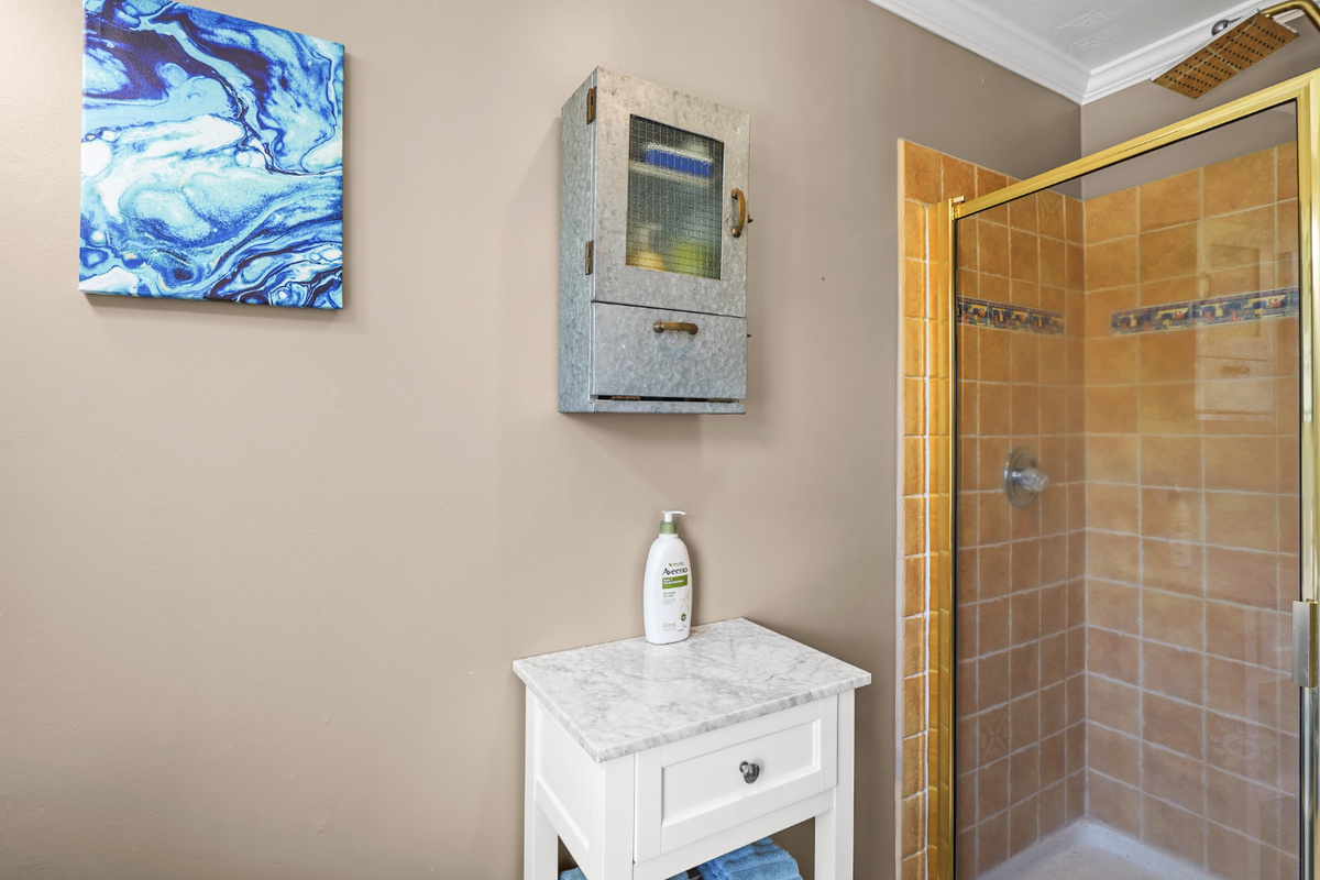 Walk in shower with thoughtful amenities