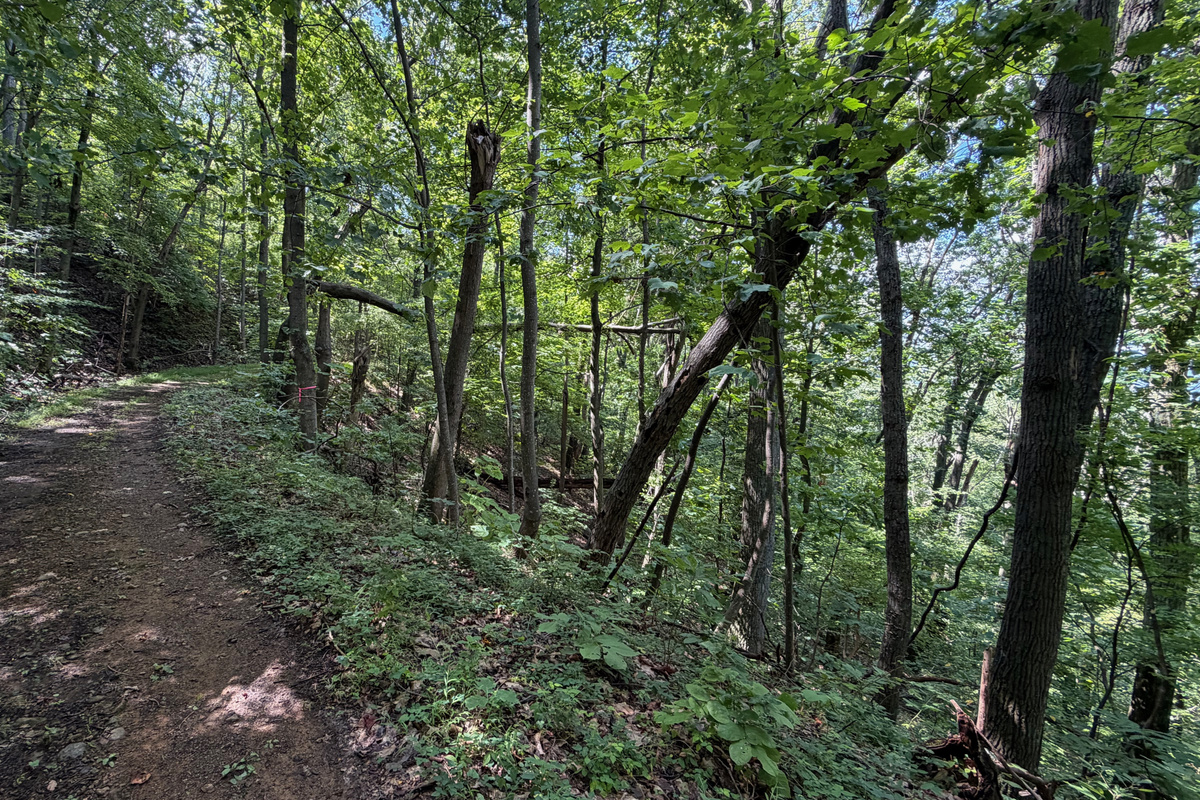 Numerous trails are on the 26 acre property, which you are free to use. We do have many wild animals to enjoy watching, but do take care and be safe. Read through the Guest Welcome Book about safety before you venture off.