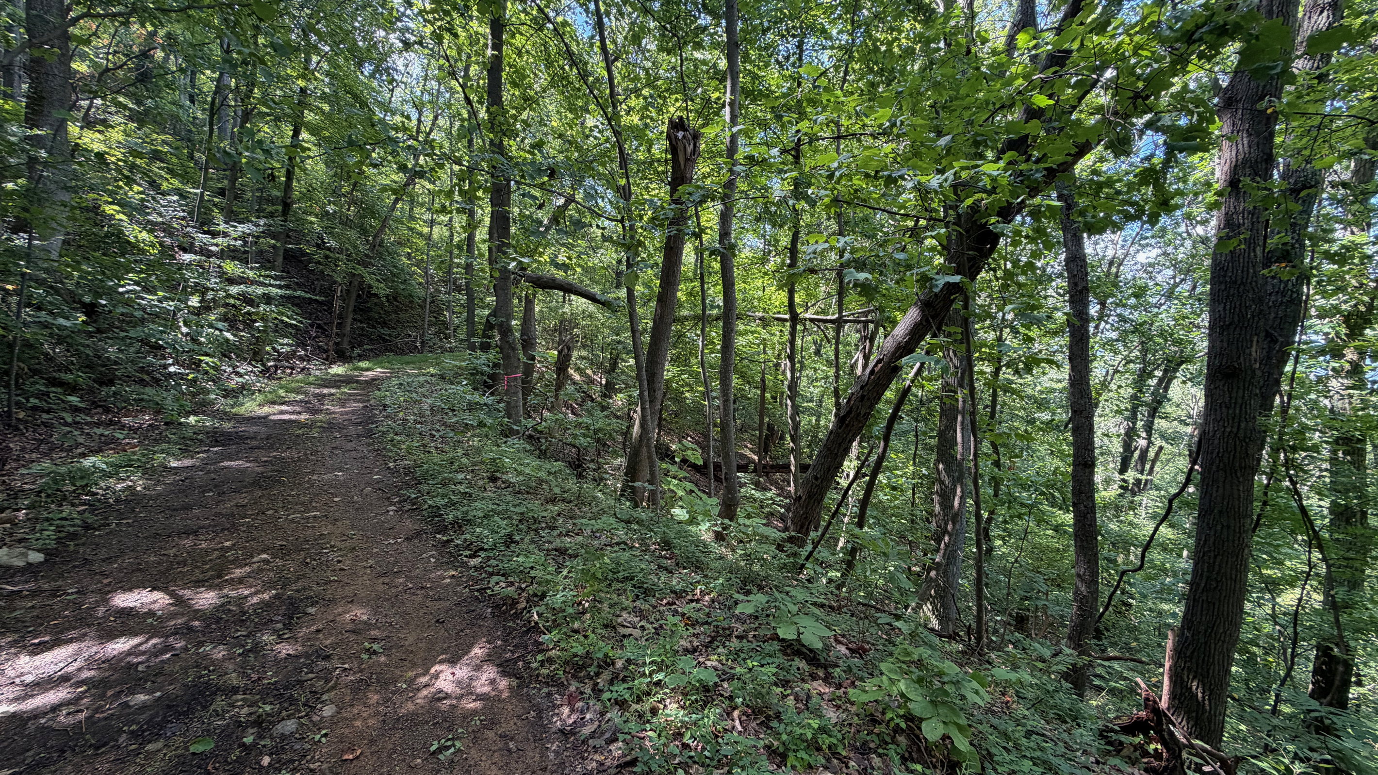 Numerous trails are on the 26 acre property, which you are free to use. We do have many wild animals to enjoy watching, but do take care and be safe. Read through the Guest Welcome Book about safety before you venture off.