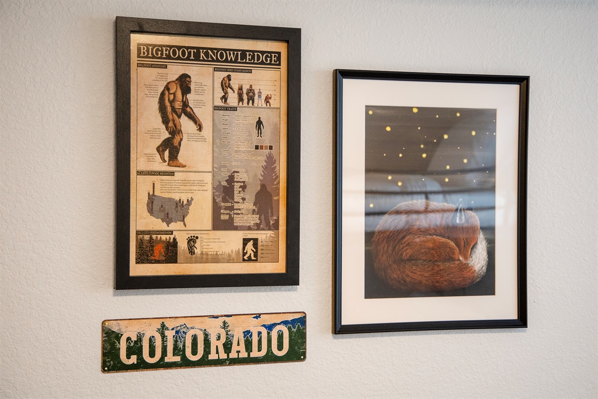 Colorado Decor