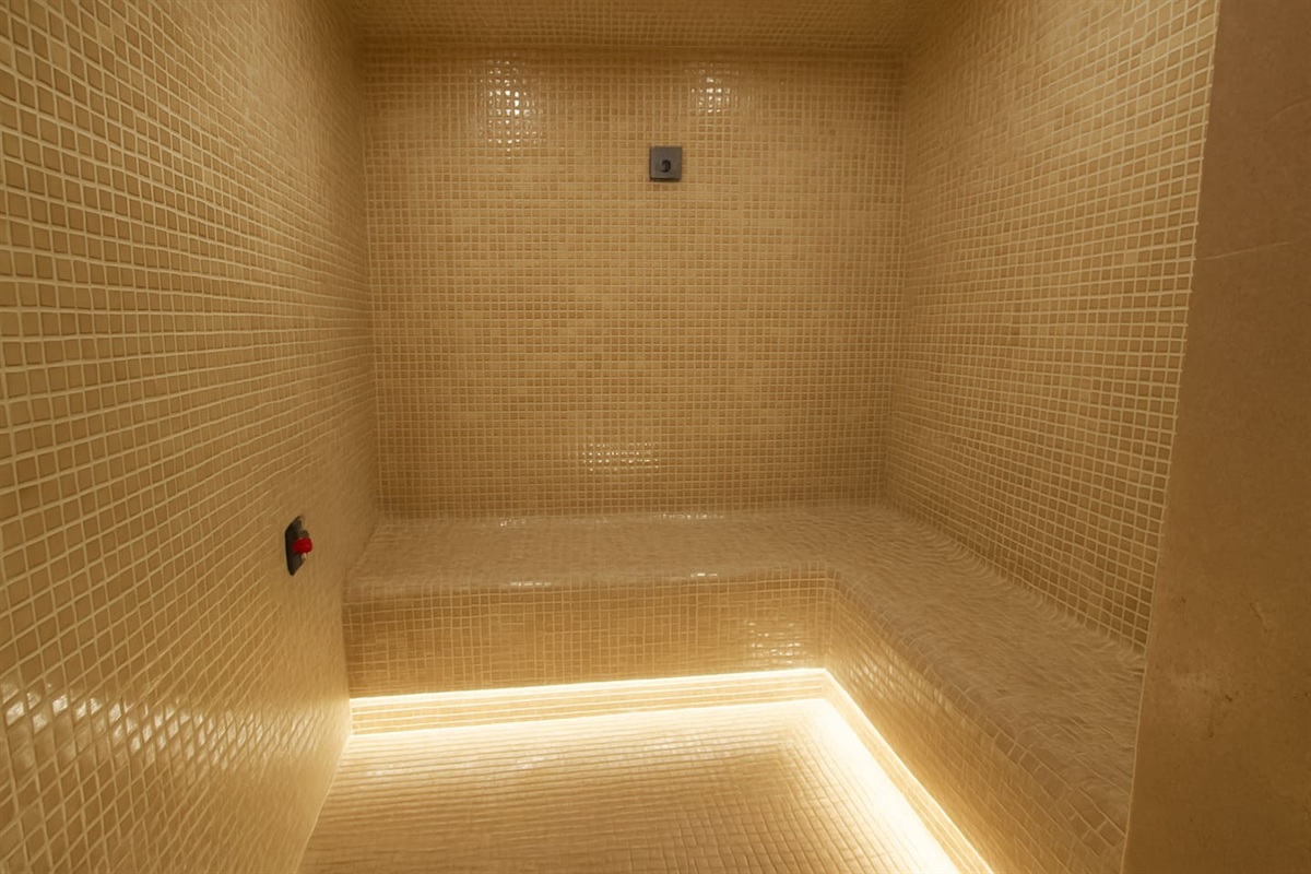 Enjoy the Steam room