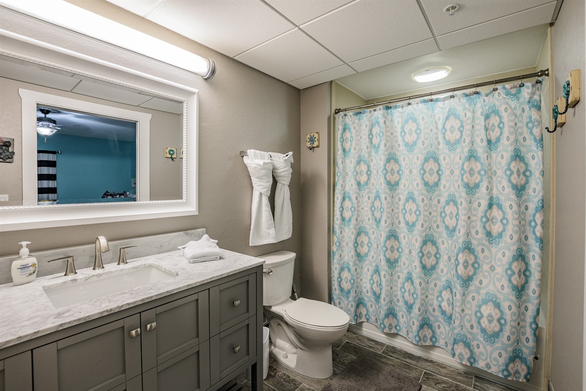 Guest bathroom - tub/shower combo