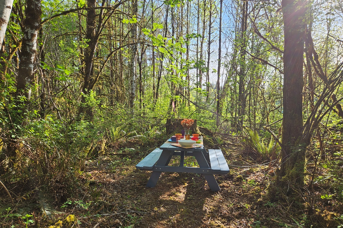 Dine in a secluded upland clearing at the end of a 4 acre walk through the wetland forest, surrounded by birds and woodland creatures.