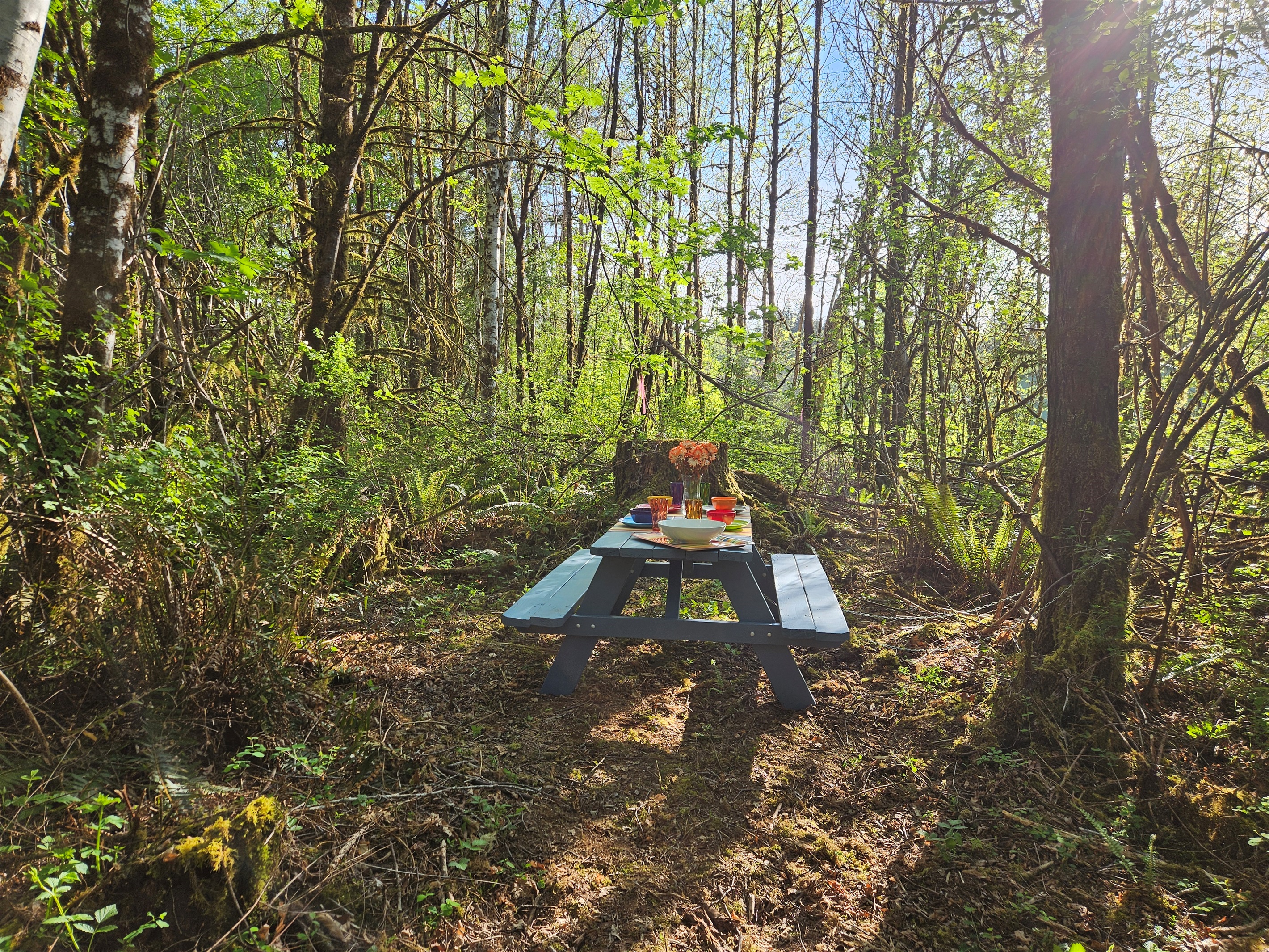 Dine in a secluded upland clearing at the end of a 4 acre walk through the wetland forest, surrounded by birds and woodland creatures.